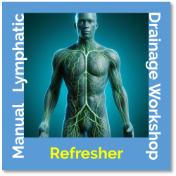 One-Day Refresher MLD Workshop