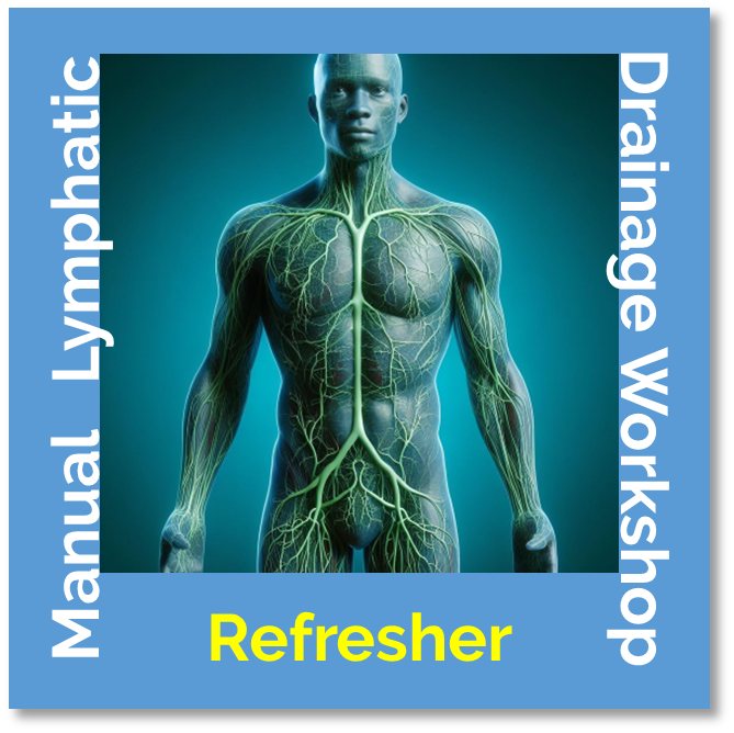 One-Day Refresher MLD Workshop